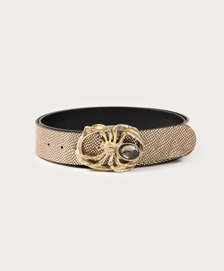Belt Spider. Light gold buckle.
